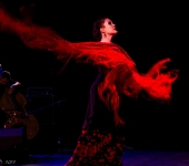 Groupe de Flamenco de Stephen | Paris (75)